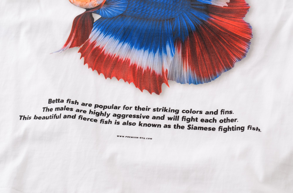 สแกนรับส่วนลด 100 บาท