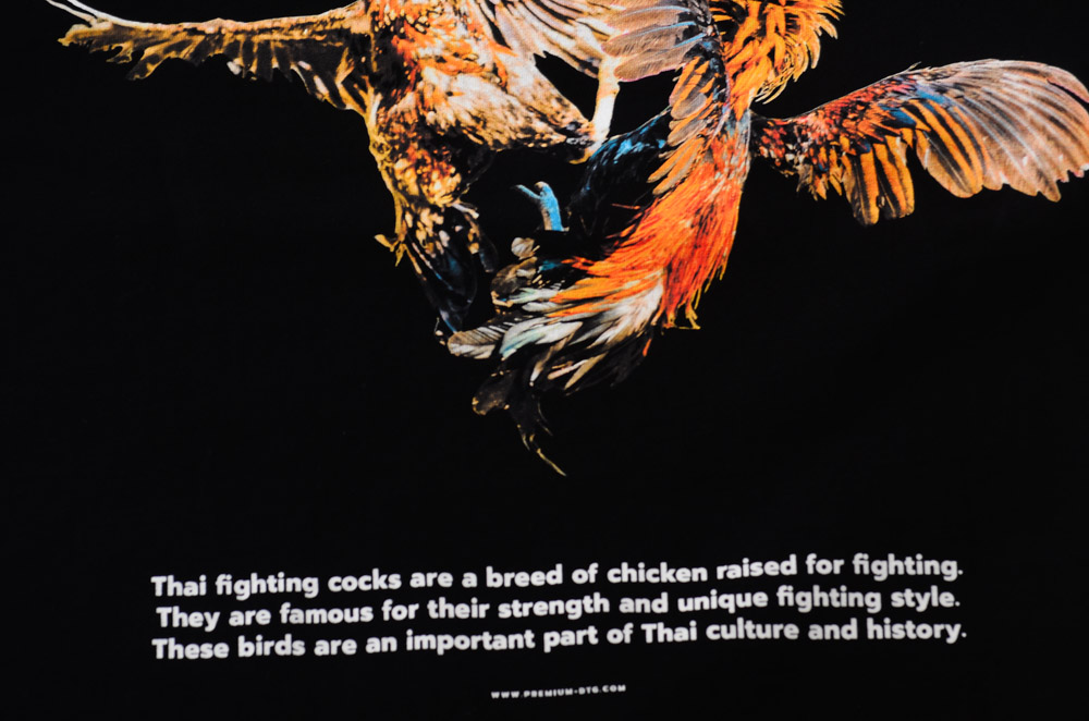 สแกนรับส่วนลด 100 บาท