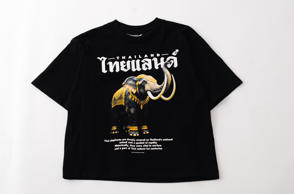สแกนรับส่วนลด 100 บาท
