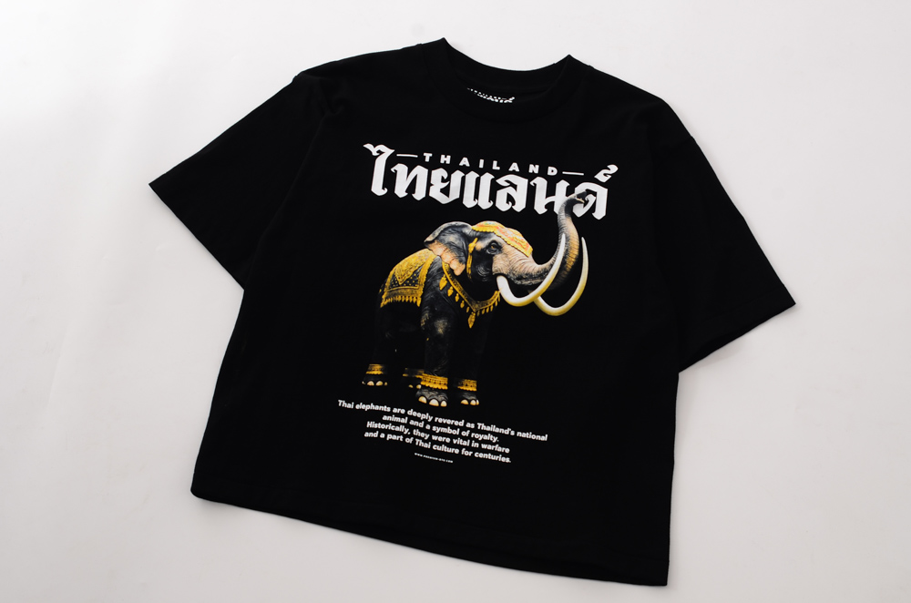 สแกนรับส่วนลด 100 บาท