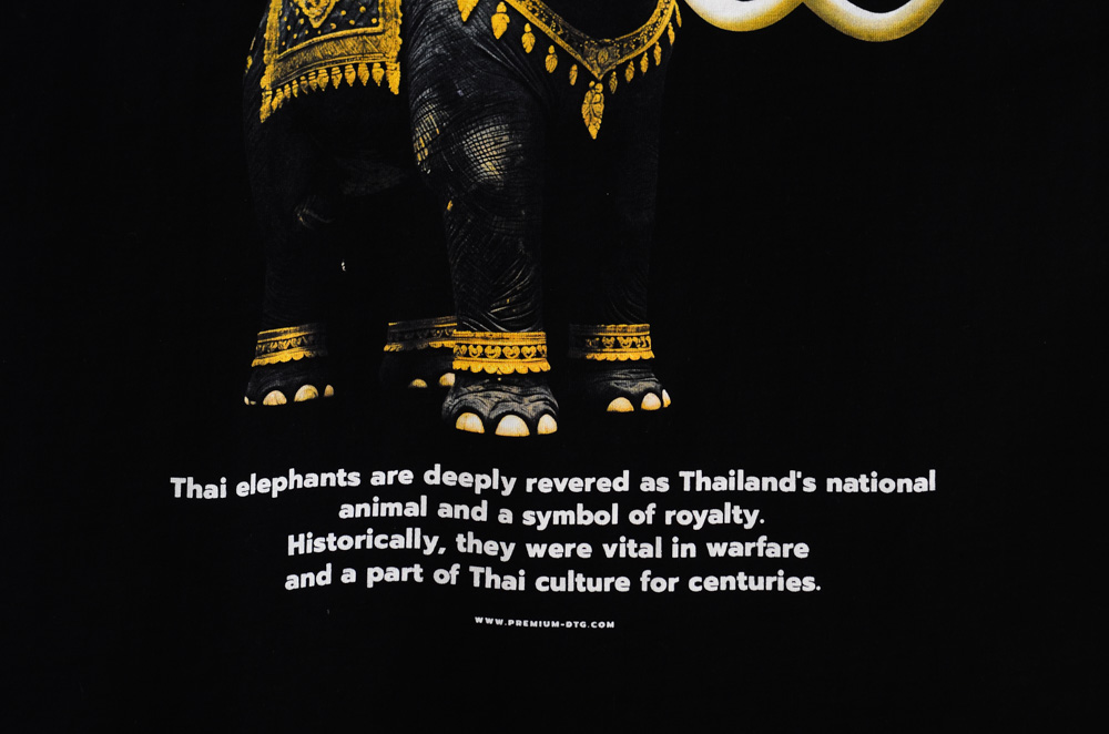 สแกนรับส่วนลด 100 บาท